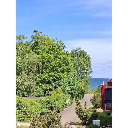 41 Dune Garden 45 *